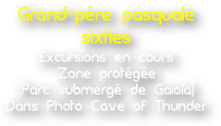 Grand-père pasquale 
sixtiesExcursions en coursZone protégée
(Parc submergé de Gaiola)Dans Photo Cave of Thunder